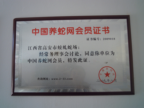 �Y�|�c�s�u