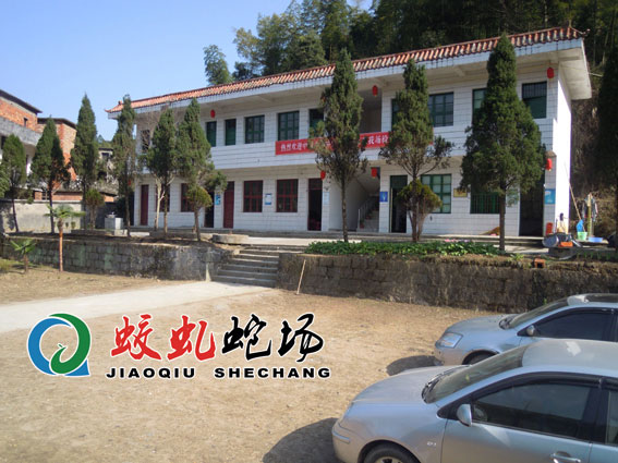 �߈�����