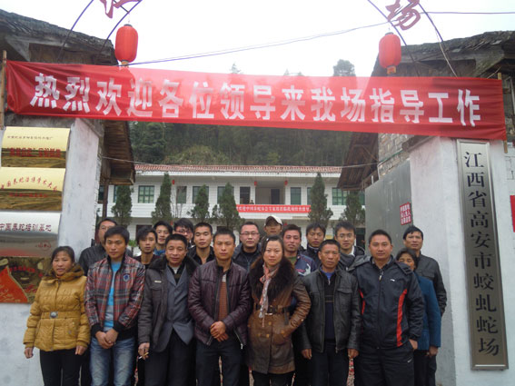 �B�߼��g��Ӗ