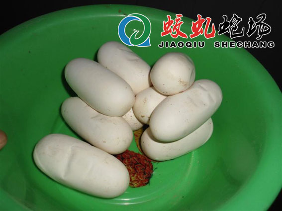 �ؼ����\�ߵ�