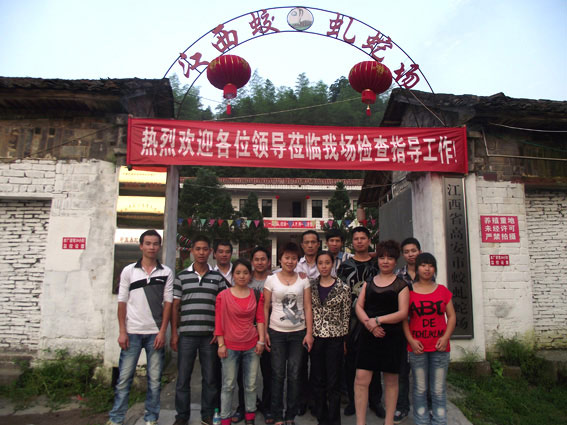 118���B�߼��g��Ӗ