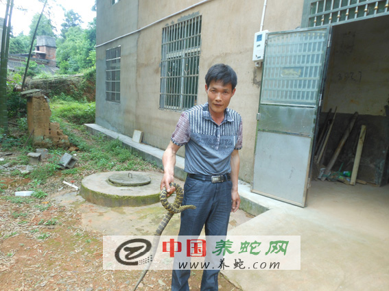 ���ތW�T����