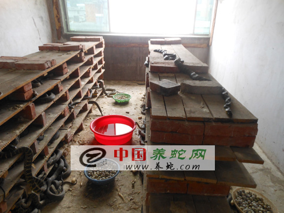 ���όW�T�������ނz���B������